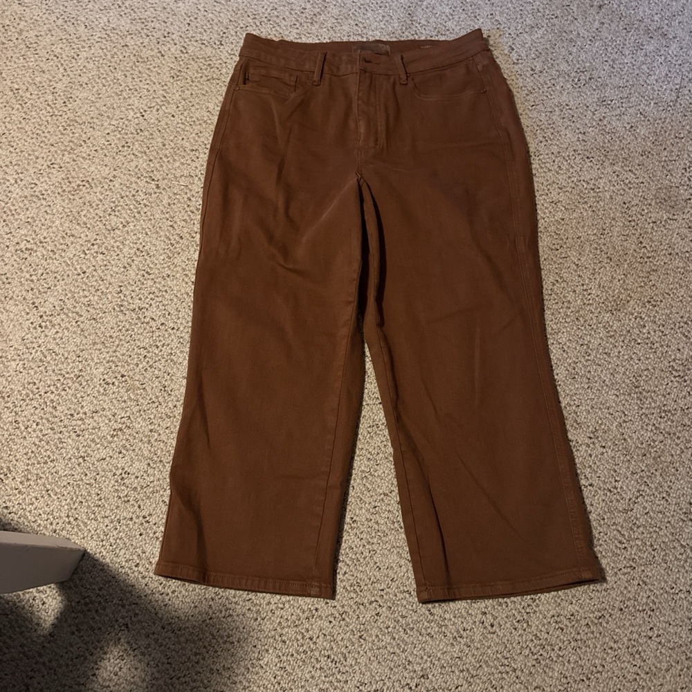 Judy Blue Rich Brown Trousers